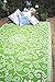 Fab Habitat Outdoor Rug - Waterproof, Fade Resistant, Crease-Free - Premium Recycled Plastic - Persian Floral - Patio, Deck, Porch, Balcony, Laundry Room - Murano - Lime Green & Cream - 4 x 6 ft