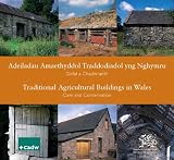 Tai gweithwyr diwydiannol yng Nghymru : gofal a chadwraeth = Industrial workers' housing in Wales : care and conservation