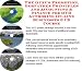 Book The Guru's Promotion, Godfather Principles and Accounting & Finance for DVD Authoring On-line Businesses 3 CD Course