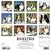 2016 Just Shelties Wall Calendar