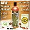 NaturOli Soap Nuts Natural Shampoo - Organic Hair Care - Sulfate Free! - Ayurvedic Ingredients - Normal to Oily Hair - "EXTREME Hair" - Unscented - 16oz. Made with USDA CERTIFIED ORGANIC Soap Nuts / Soap Berries!