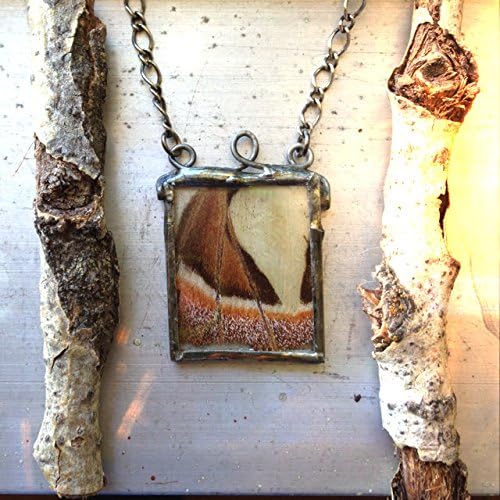 Moth Wing Pendant, Real Insect Jewelry