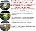 Book The Rich Man's How To Earn Extra Money, Success Principles and eCommerce for Bridal Shower Games Businesses 3 CD Power Pack