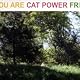 You Are Free