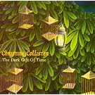 Dark Gift of Time