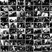 Mercy Seat (Live)