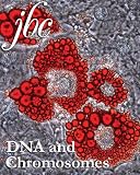 Journal of Biological Chemistry :: DNA and Chromosomes ::