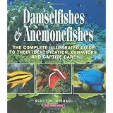Damselfishes & Anemonefishes (Reef Fishes) ~ Scott W. Michael