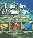 Damselfishes & Anemonefishes (Reef Fishes)
