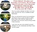 Search : The Best Make An Extra Income, Success Principles and Sales Models for Baby Chairs On-line Biz Package (3 CDs)
