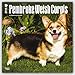 Pembroke Welsh Corgis 2016 Calendar