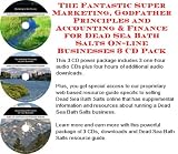 The Fantastic Super Marketing, Godfather Principles and Accounting & Finance for Dead Sea Bath Salts On-line Businesses 3 CD Pack