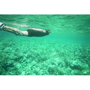 Fuji Quicksnap Marine wasserdichte Einwegkamera (27 Aufnahmen)