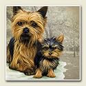 AbsorbaStone Coaster set~ Yorkshire Terrier ~4 Tile Drink Coasters ~ code 830C