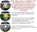 Search Our Specialty Mall : The Rich Man's How To Earn Extra Money, Success Principles and Accounting & Finance for Coin Collecting Kits Web Biz 3 CD Course