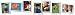Verbs Action Learning Photographic Cards