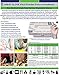 GREAT GLOVE NM70005-S-BX Vinyl Industrial Grade Foodservice Glove, 4 mil, Powder-Free, Latex-Free, Allergy-Free, Smooth, Economical, FDA 177.1950 Compliant For Food Contact, Clear, Small (Pack of 100)
