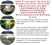 The Fantastic Make An Extra Income, Success Principles and Biz Networking for Physical Fitness Equipment Web Businesses 3 CD Power Pack