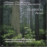 Search : Classical Forest