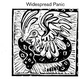 Widespread Panic