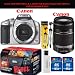 Canon EOS Rebel XSi (a.k.a. 450D) SLR Digital Camera Kit (Silver) with 55-250mm IS Lens + Willoughbys Bundle Kit