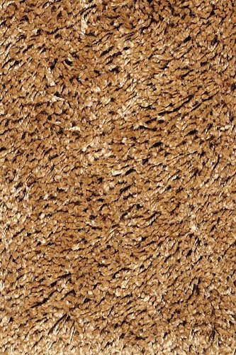 Home Decorators Rugs