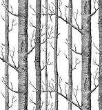 SOOMJ モダン樺の木森林木材壁紙壁用トイレ屋内居間 ベッドルーム装飾 53cm×10m