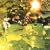 Everything is Green [CD on Demand]