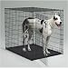 Pet Supplies : MidWest 1154 Colossal Crate with Pan (Oversized)
