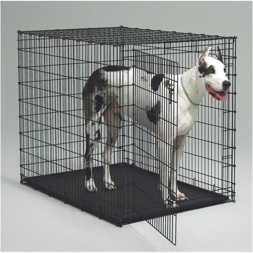 Childrens Toyshop  Pet Supplies : Replacement Pan for MidWest 1154 Colossal Crate (Oversized)