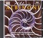 Adagio Albinoni