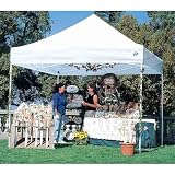 Cheap Deals on ezup shelters-EZUp; Express II Instant Shelter (EX2S10WHRB06)