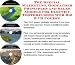 The Special Marketing, Godfather Principles and Sales Models for Electric Toothbrushe...