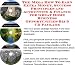 The Mega How To Earn Extra Money, Success Principles and Accounting & Finance for Great Home Business Opportunities Biz 3 CD Package