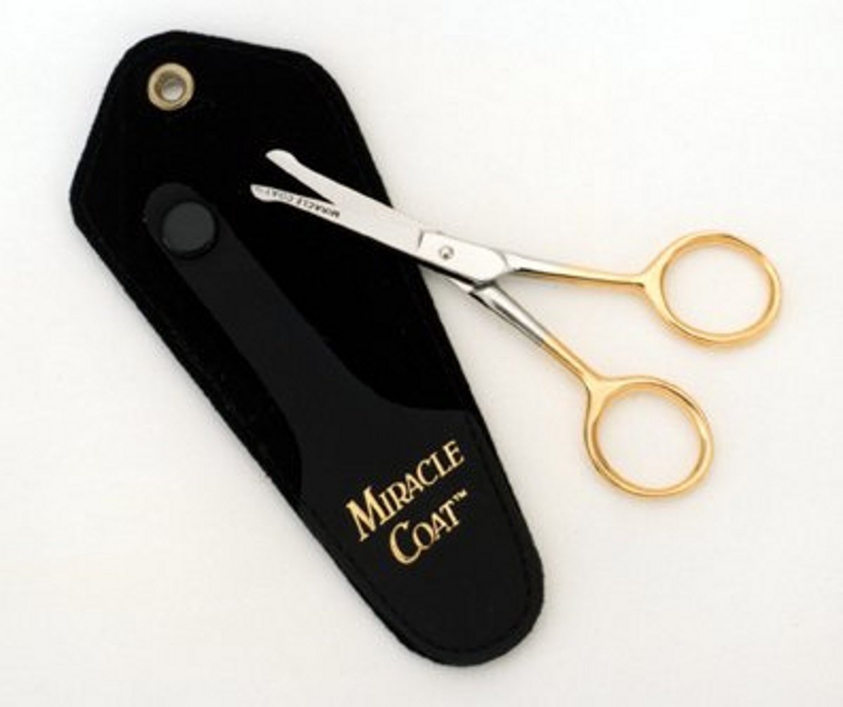 Grooming your Brussels Griffon Part 1 How to do a "Pet Strip" Hand