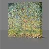 GUSTAV KLIMT Apple Tree In Blossom 41cm x 41cm Gallery Framed Canvas Art Poster Print Ready To Hang NEW Framed Over Stretcher Bars