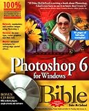 Photoshop 6 for Windows Bible