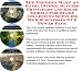 Search Our Specialty Mall : The Insider's Make An Extra Income, Success Principles and Sales Models for Stamp Collecting Supplies Web Businesses 3 CD Power Pack