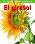El Girasol/sunflower: Por Dentro Y Por Fuera / Inside And Out (Explora La Naturaleza) (Spanish Edition)