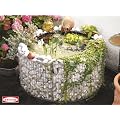 bellissa Hochteich H�he 40 cm � 92 cm