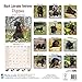 Black Labrador Retriever Puppies Calendar - Only Dog Breed Black Labrador Retriever Puppies Calendar - 2016 Wall calendars - Dog Calendars - Monthly Wall Calendar by Avonside