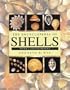 Encyclopedia of Shells