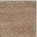 SAFAVIEH Milan Shag Collection Accent Rug - 4' x 6', Dark Beige, Solid Design, Non-Shedding & Easy Care, 2-inch Thick Ideal for High Traffic Areas in Entryway, Living Room, Bedroom (SG180-1414)