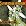 Reanimation