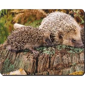 Mother and Baby Hedgehog Computer Mouse Mat/Pad Gift, Ref:AHE-5M
