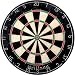 DMI Brittany Bristle Dartboard