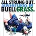 All Strung Out. Adventures in Buellgrass.