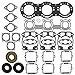 Vertex-Winderosa 611810 Gasket Kit with Oil Seals