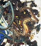 Kazuo Shiraga : paintings and watercolours 1954-2007, 1 November - 20 December 2007