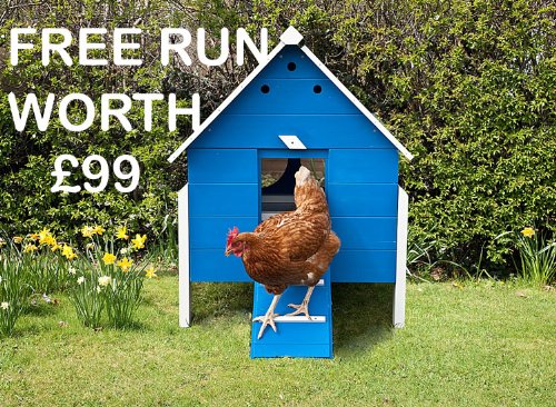 Henrietta's Chicken House Chicken Coop In Blue 